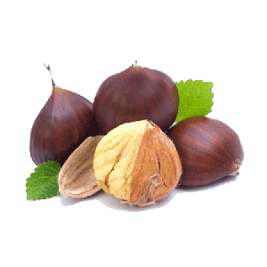 CHATAIGNES (CASTANHA) PORT CATII AU KG