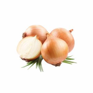 CEBOLA FRESCA (OIGNON) ORIG. PT AU KG 