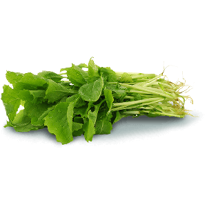 FANES NAVET/NABICAS (GRELOS) CAT II PT UNI