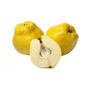 COING (MARMELOS) CATII ORIG. PT AU KG