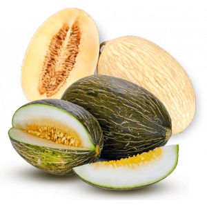 MELON VERT/JAUNE ORIG. ESPAGNE AU KG