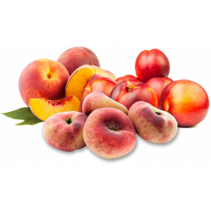 PECHE/NECTARINE (PESSEGO) ORIG. ESPAGNE AU KG