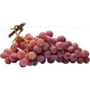RAISIN (UVA) RED/BLANC GLOBE ORIG. ESPAGNE AU KG