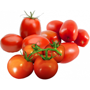 TOMATE SALADE/XUXA CAL.82/102 ORIG. PT AU KG