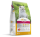 CATCLASSIC COMIDA GATO MIX CARNE 4KG