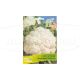 FLORA LUSITANA SEMENTES COUVE FLOR 4 ESTACOES 5GR