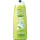 FRUCTIS SHAMPOO ANTICASPA 250ML