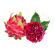 PITAYA ROUGE ORIG. ANGOLA AU KG