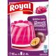 ROYAL GELATINE FRUIT PASSION 2*57GR