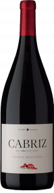 VIN CABRIZ DAO COLHEITA MAGNUM 1,5L ROUGE